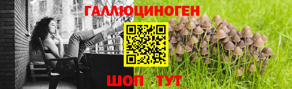 Псилоцибиновые грибы Cubensis  Галлюциногенные грибы ЛСД  Всеволожск  Вход с VPN 